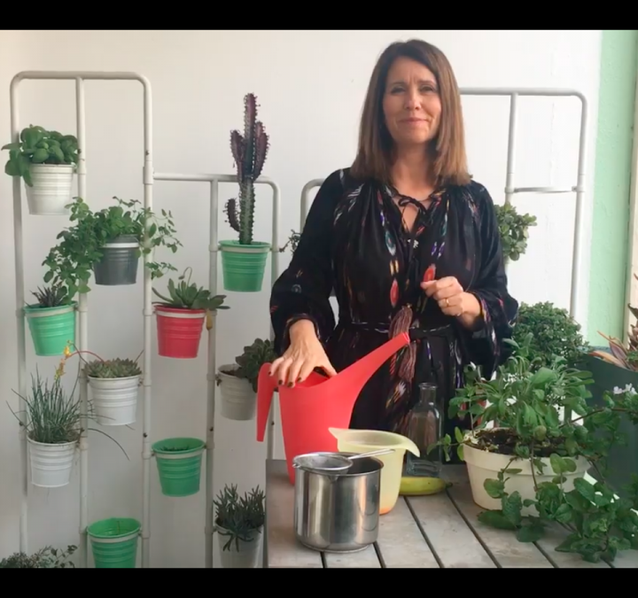 Jardinar em Casa #8: Como Usar Casca de Banana para Fertilizar as Plantas