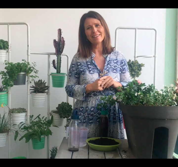 Jardinar em Casa #10 : Como Usar Borras de Café nas Plantas