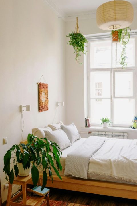 quarto luminoso com plantas
