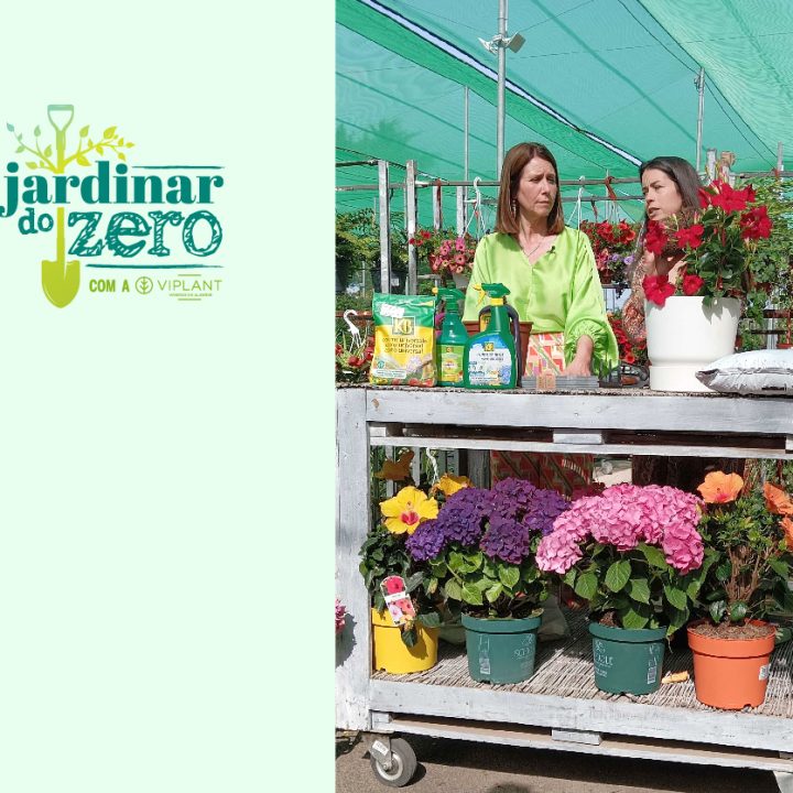 Webinar: Começar a Jardinar – Tudo o Que Precisa de Saber: Jardinar do Zero