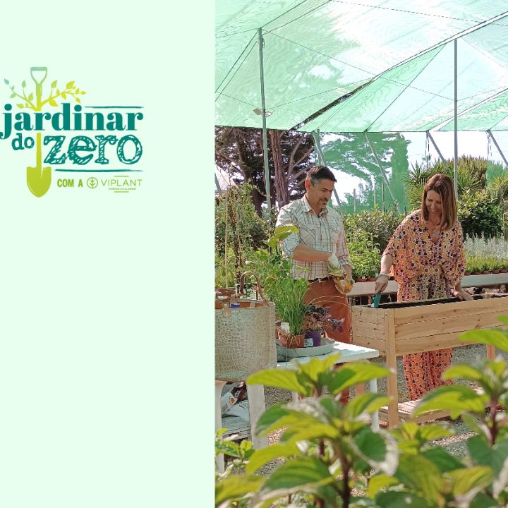 Webinar: Jardins Comestíveis em Varandas e Floreiras: Sabor, Cor e Aroma: Jardinar do Zero
