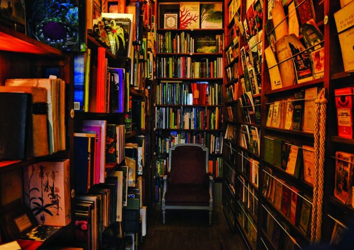 Sala forrada a estantes de livros, na Academia do Jardineiro Lisboeta