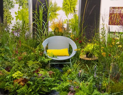 Cadeira entre plantas, no Salon du vegetal