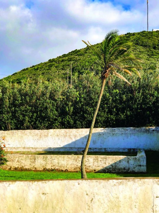 Graciosa