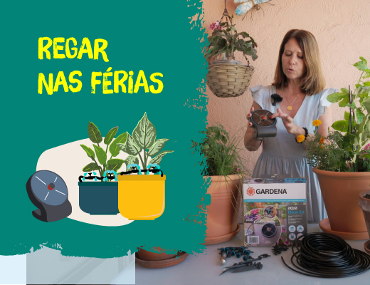 Regar nas férias