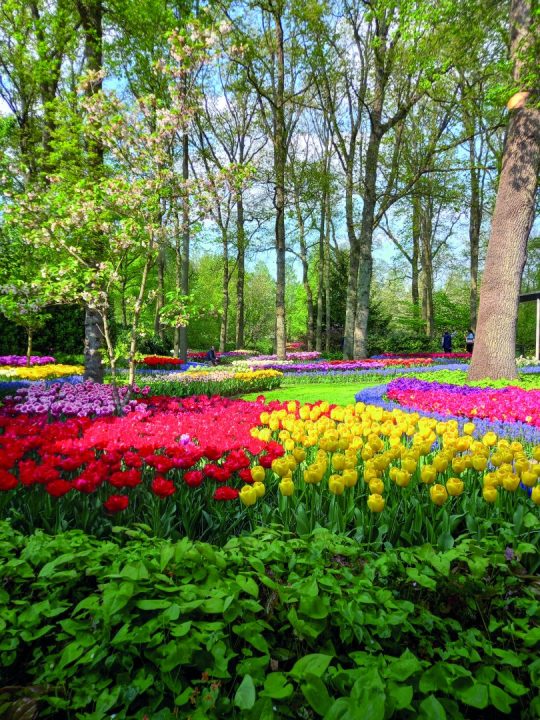 KEUKENHOF