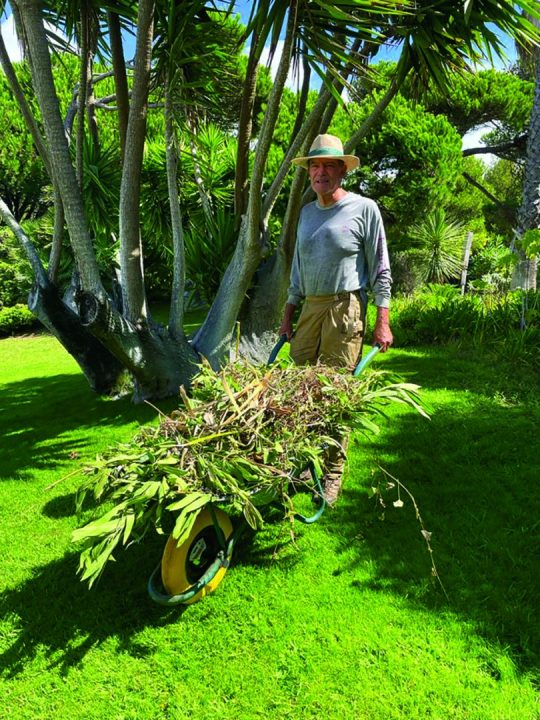 Luís Penha e Costa, fundador da Revista Jardins