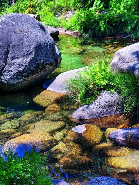 gerês