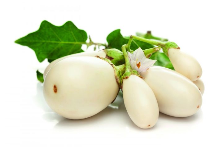 Beringela branca - fruto