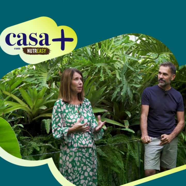 Casa + Tropical