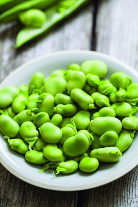 favas