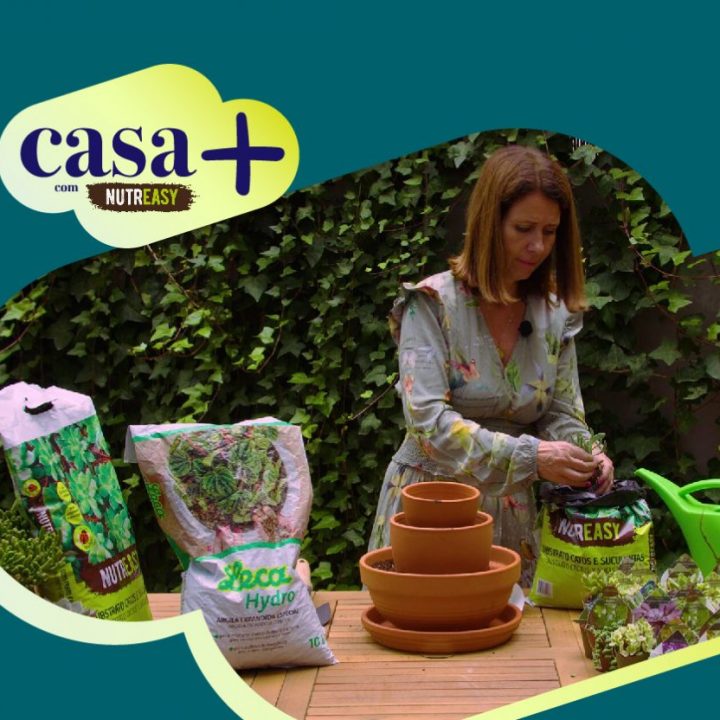 Casa + Suculenta