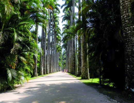 Jardim Botânico do Rio de Janeiro, Brasil