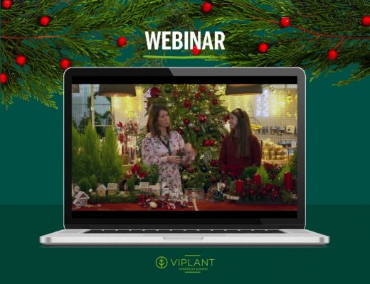 webinar natal decorar com plantas naturais