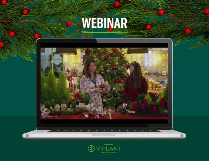 webinar natal decorar com plantas naturais