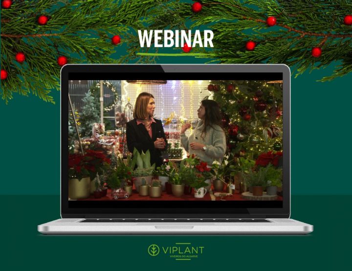 webinar plantas naturais presentes perfeitos