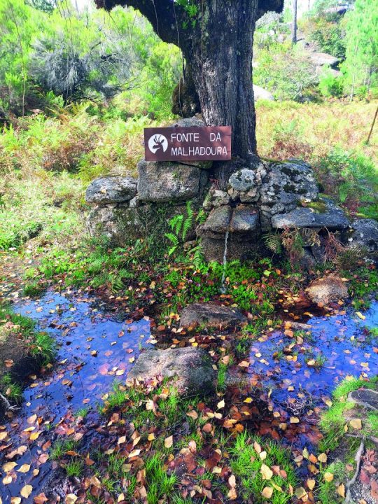gerês