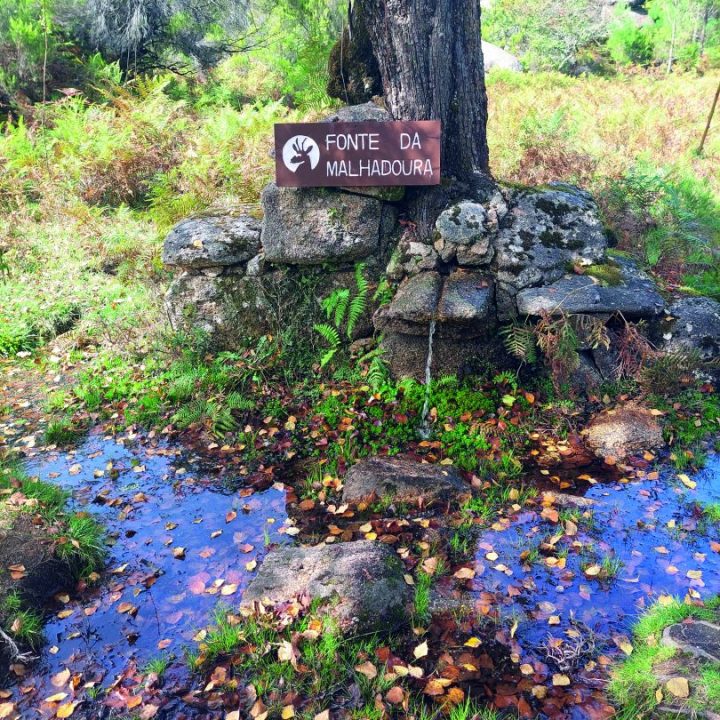 gerês