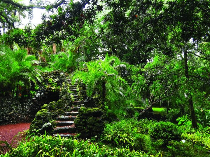 Jardim António Borges, Ponta Delgada