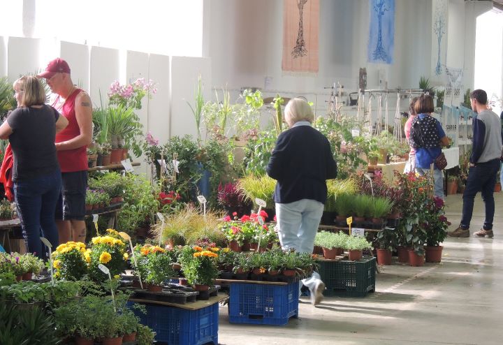 Feira Jardim Mediterrânico