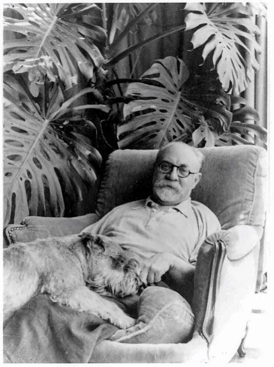 Henri Matisse junto e uma das suas Monstera deliciosa