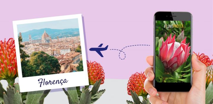 passatempo i love protea flora toscana 2023