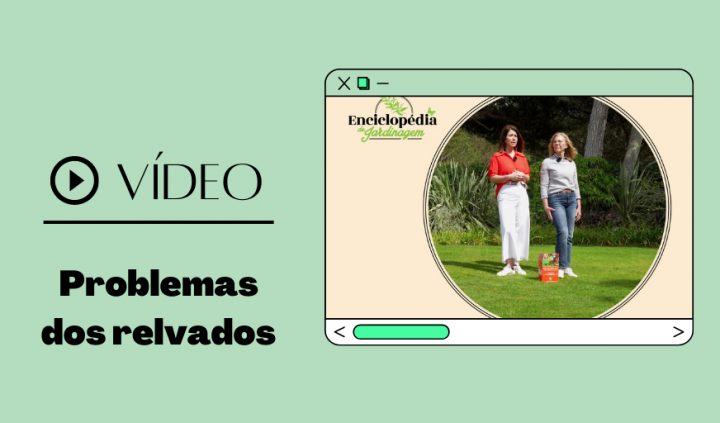 Problemas dos relvados: Enciclopédia de Jardinagem