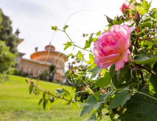 roseiral monserrate