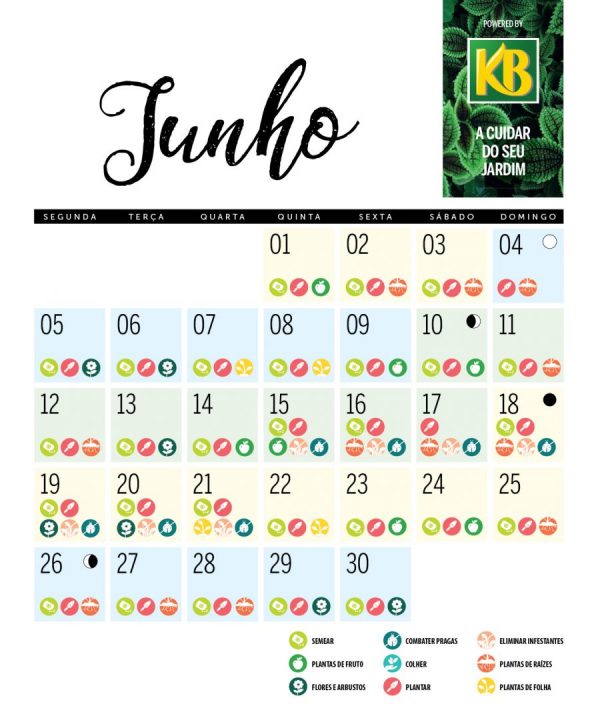 calendário lunar junho