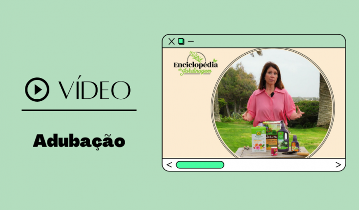 Adubação