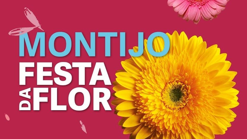 festa da flor