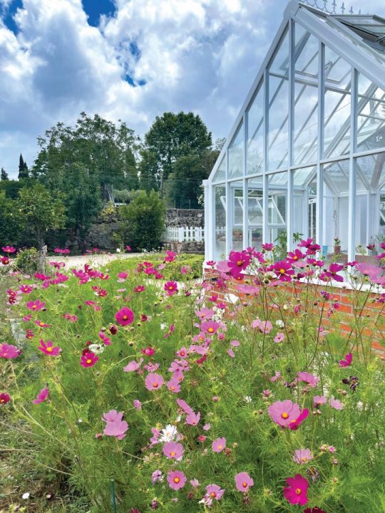 Quinta das Flores, Azeitão