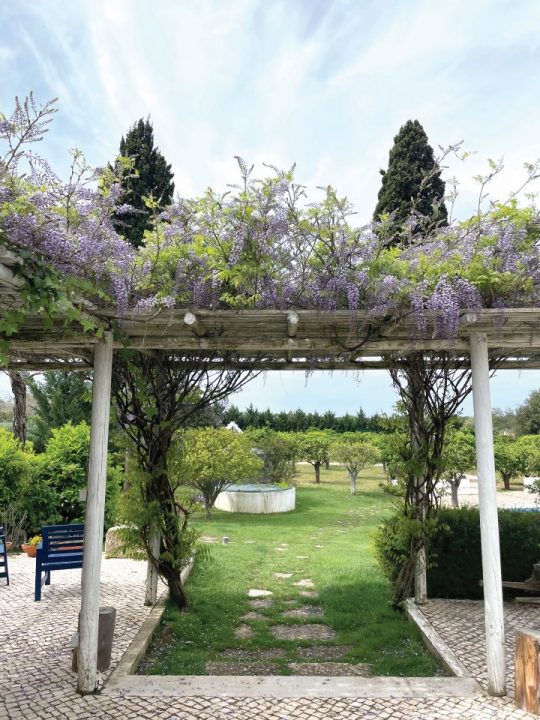 Quinta das Flores, Azeitão