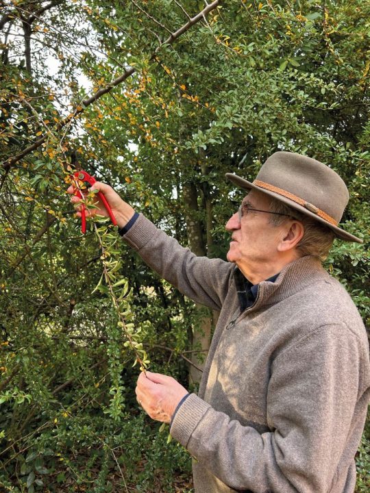 António Bagão Félix a jardinar