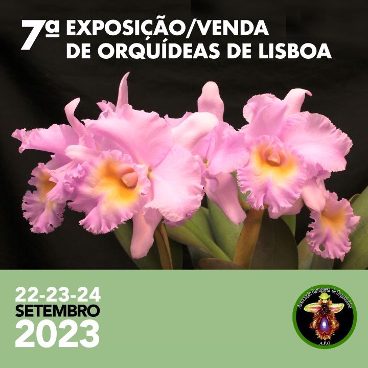 7ª Exposição de orquídeas de lisboa