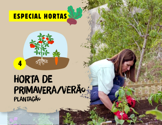 ESPECIAL Hortas: Horta de primavera/verão