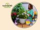 hortênsias: enciclopédia de jardinagem