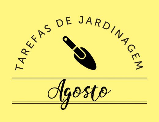 tarefas de jardinagem em agosto