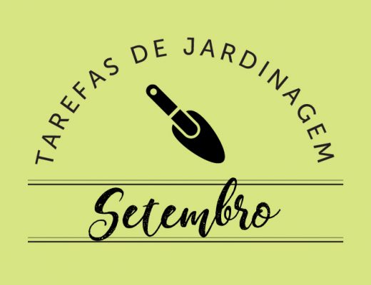 tarefas de jardinagem em setembro