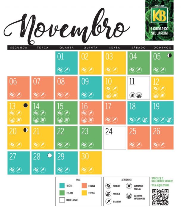 calendário lunar novembro 2023