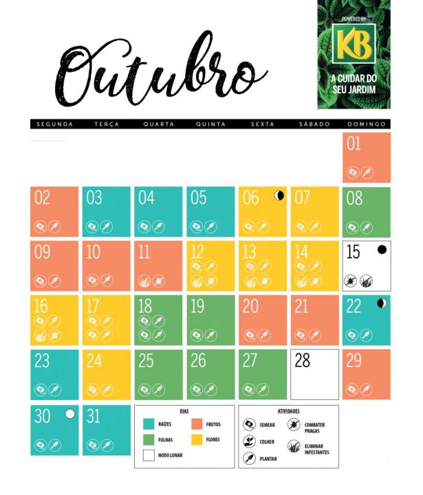 calendário lunar outubro 2023