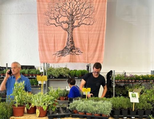 Feira de outono de Jardinagem Mediterrânica