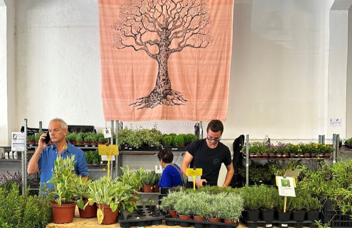 Feira de outono de Jardinagem Mediterrânica