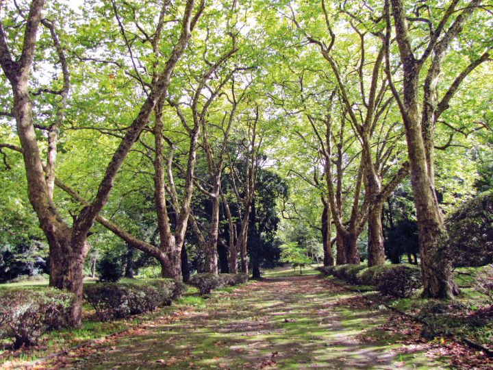 Parque D. Beatriz do Canto