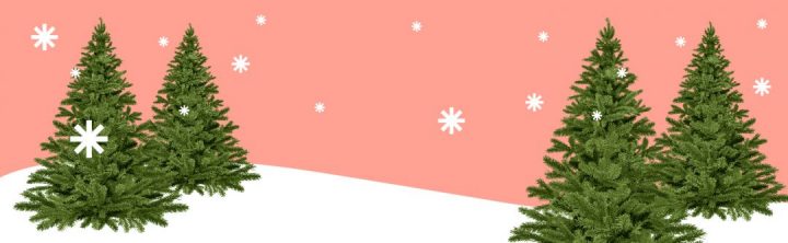 Arvore de natal natural