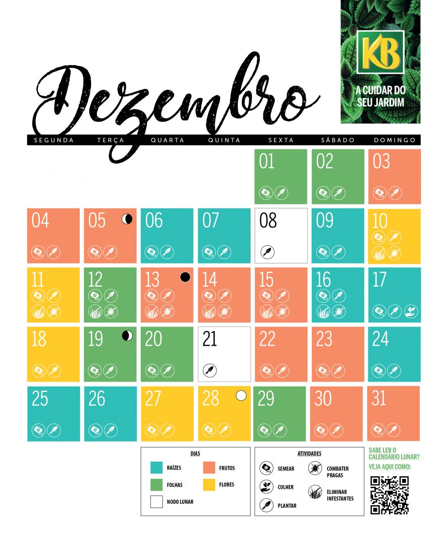 calendário lunar dezembro 2023