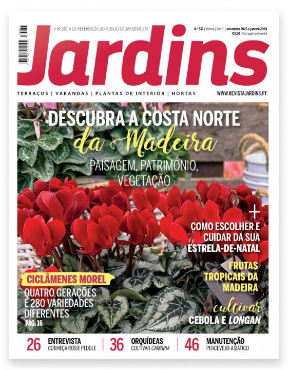 revista Jardins 237 dezembro janeiro