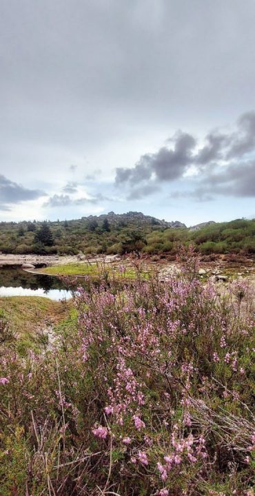 Paisagem da Serra da Estrela