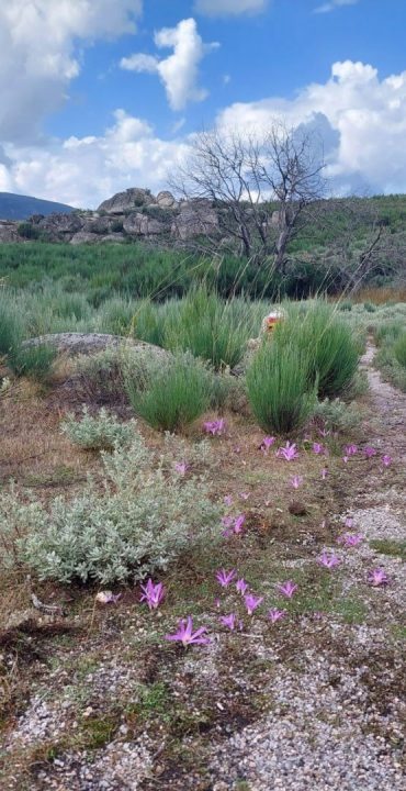 Paisagem da Serra da Estrela