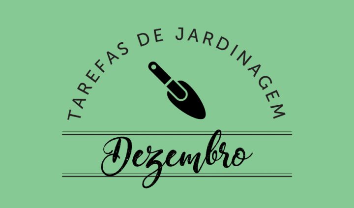 tarefas de jardinagem dezembro